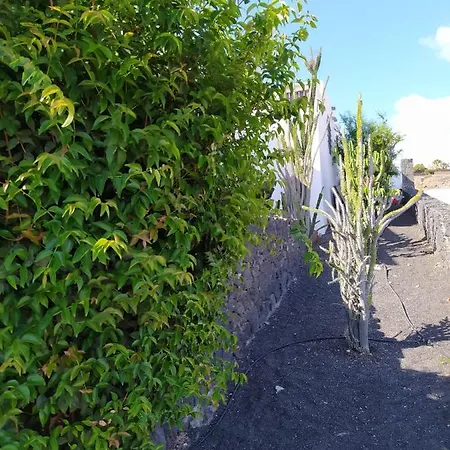 בקתה Under The Volcano In Playa Blanca *