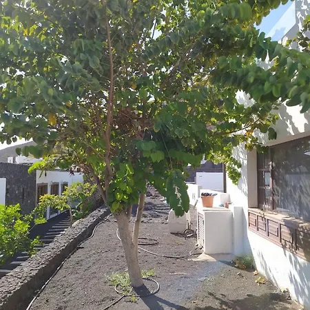 Under The Volcano In Playa Blanca *
